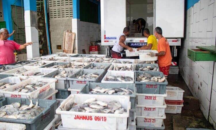 Transporte gratuito de produção beneficia pescadores em SJB