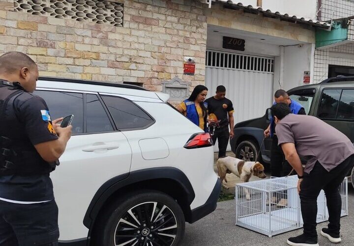 Quatorze cães são resgatados por maus-tratos em Macaé