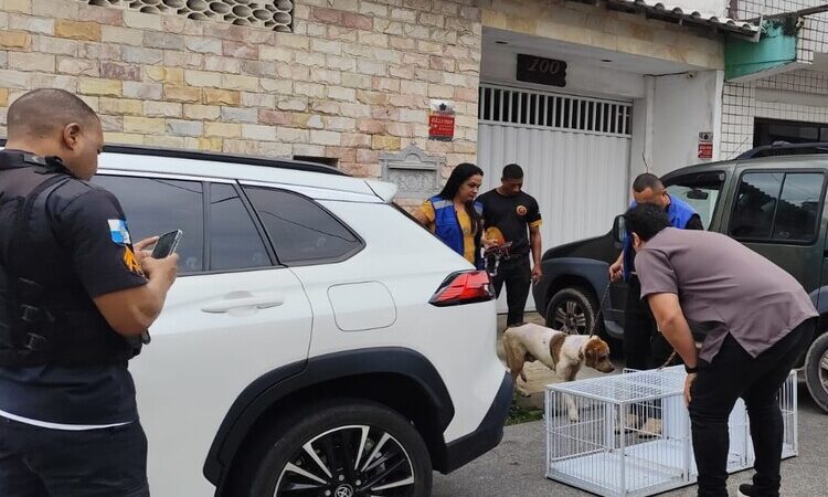 Quatorze cães são resgatados por maus-tratos em Macaé
