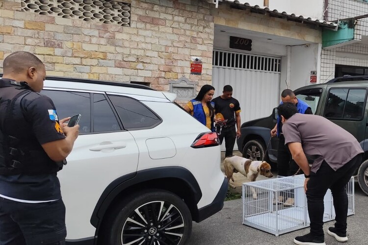 Quatorze cães são resgatados por maus-tratos em Macaé