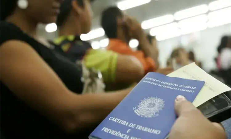 Emprego no NF registra desaceleração forte em julho, aponta Coneflu