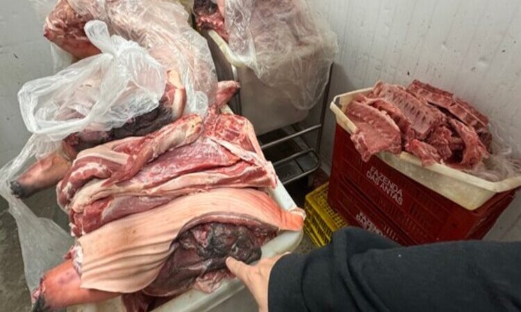 Mais de uma tonelada de alimentos são descartados em supermercados de Itaocara e Cambuci